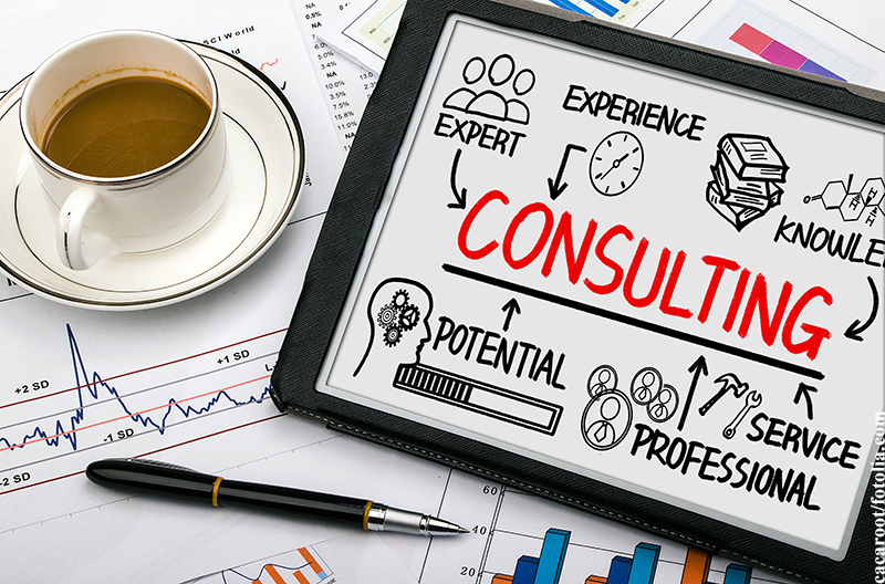 vendor management consulting